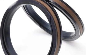 PHỚT PISTON KÉP SPGW - THÔNG SỐ KỸ THUẬT VÀ BẢNG KÍCH THƯỚC